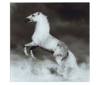 Картина на стекле 30х30 см «Лошадь»