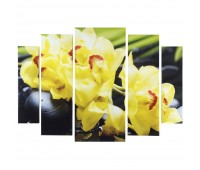 Холст модульный 80х115 см «Жёлтые орхидеи»