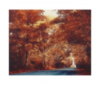Картина на холсте 40х50 см «Осень»