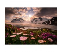 Фотообои бумажные «Аляска» 254х184 см