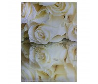 Фотообои бумажные «Белые розы» 368x254 см