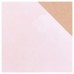 Декоративное покрытие с эффектом шелка цвет розовый кашемир 0.9 л