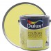 Декоративная краска для стен и потолков Dulux Colours Kingdom цвет зелёная орхидея 2.5 л