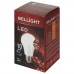 Лампа светодиодная Bellight E27 10 Вт 840 Лм свет холодный белый