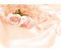 Фотообои «Запах роз» 280х200 см